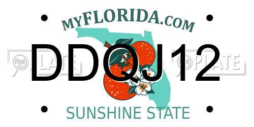 DDQJ12 Florida License Plate