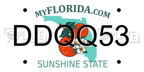 DDQQ53 Florida License Plate