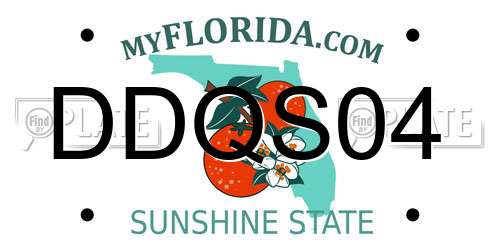 DDQS04 Florida License Plate