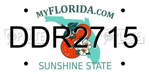 DDR2715 Florida License Plate