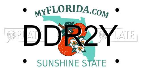 DDR2Y Florida License Plate