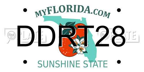 DDRT28 Florida License Plate