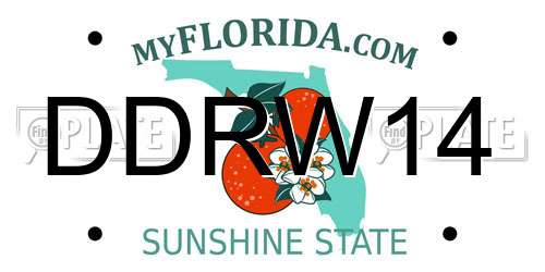 DDRW14 Florida License Plate