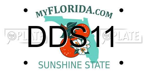 DDS11 Florida License Plate