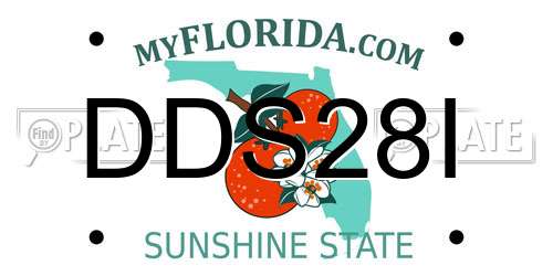 DDS28I Florida License Plate