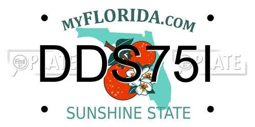 DDS75I Florida License Plate