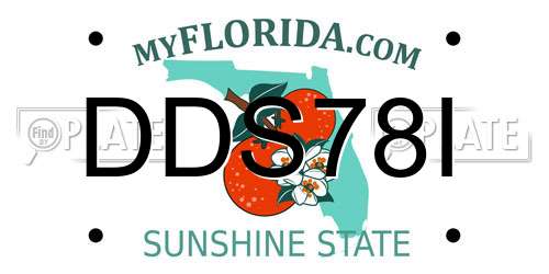 DDS78I Florida License Plate