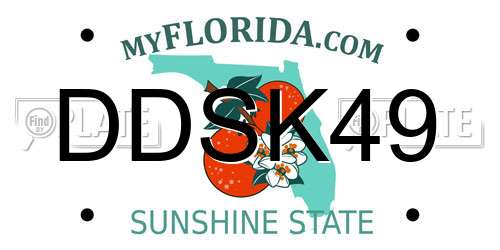 DDSK49 Florida License Plate