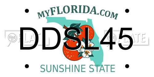 DDSL45 Florida License Plate