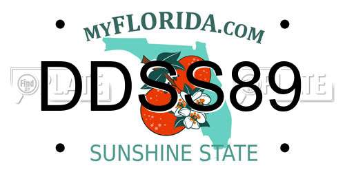 DDSS89 Florida License Plate