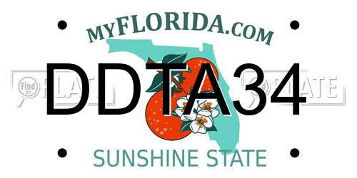 DDTA34 Florida License Plate