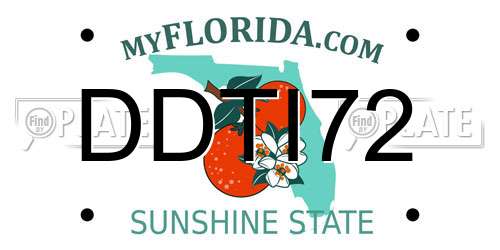 DDTI72 Florida License Plate