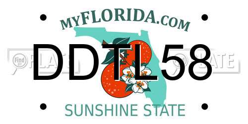 DDTL58 Florida License Plate
