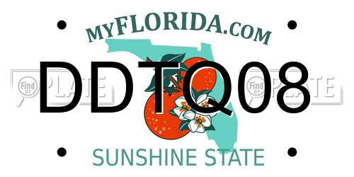 DDTQ08 Florida License Plate