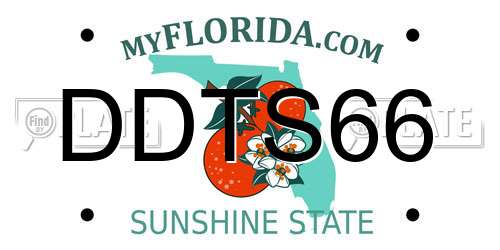 DDTS66 Florida License Plate