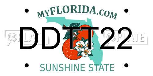 DDTT22 Florida License Plate