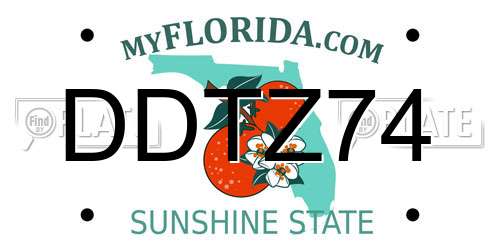 DDTZ74 Florida License Plate