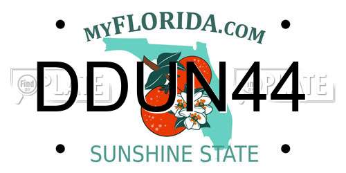 DDUN44 Florida License Plate