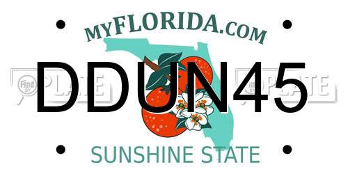 DDUN45 Florida License Plate