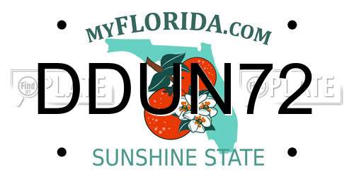 DDUN72 Florida License Plate