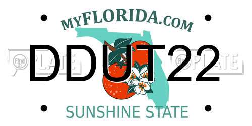 DDUT22 Florida License Plate