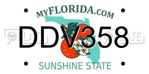 DDV358 Florida License Plate