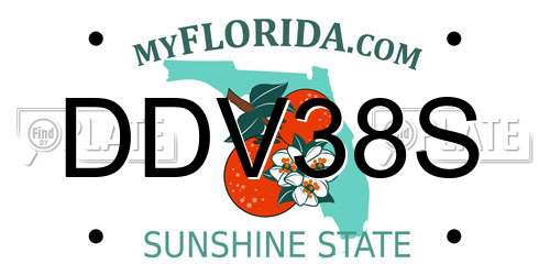 DDV38S Florida License Plate
