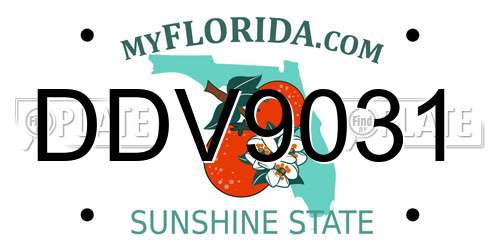 DDV9031 Florida License Plate