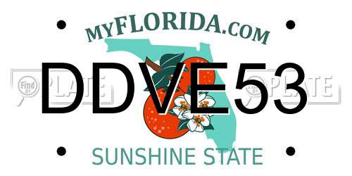 DDVE53 Florida License Plate