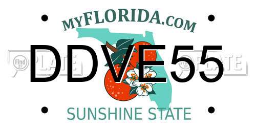DDVE55 Florida License Plate
