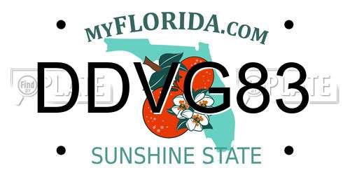 DDVG83 Florida License Plate