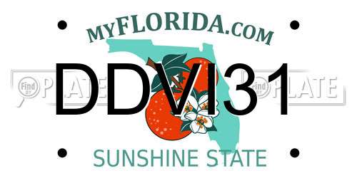 DDVI31 Florida License Plate