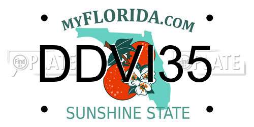 DDVI35 Florida License Plate