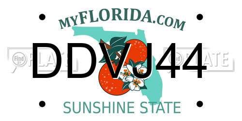 DDVJ44 Florida License Plate