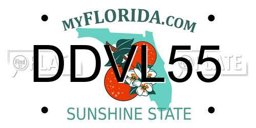 DDVL55 Florida License Plate