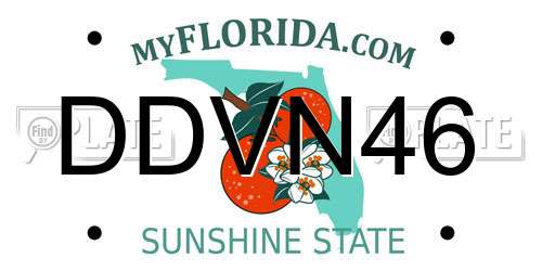 DDVN46 Florida License Plate