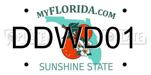 DDWD01 Florida License Plate