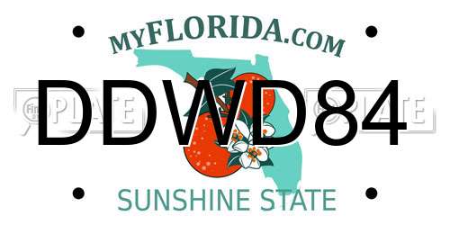 DDWD84 Florida License Plate