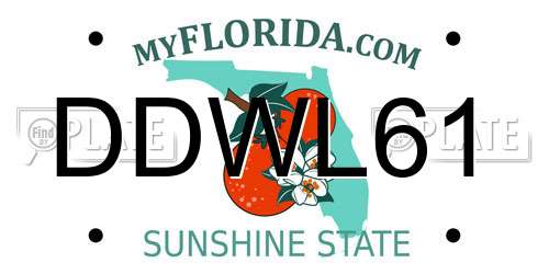 DDWL61 Florida License Plate