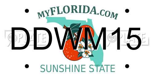 DDWM15 Florida License Plate