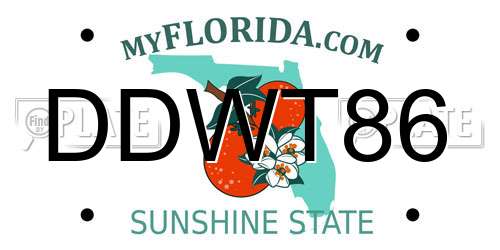 DDWT86 Florida License Plate