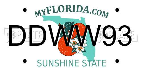 DDWW93 Florida License Plate