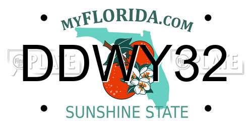DDWY32 Florida License Plate