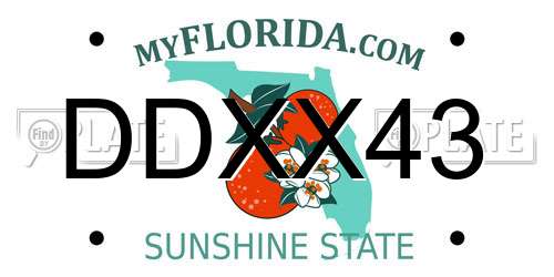 DDXX43 Florida License Plate