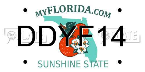 DDYF14 Florida License Plate
