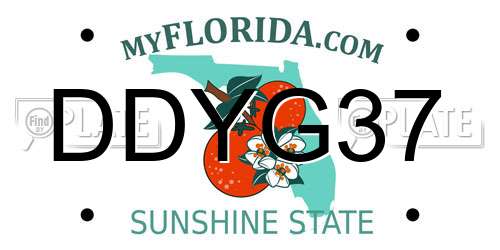 DDYG37 Florida License Plate