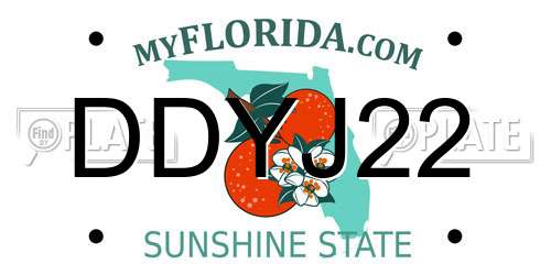 DDYJ22 Florida License Plate