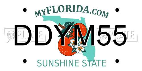 DDYM55 Florida License Plate