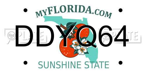 DDYQ64 Florida License Plate