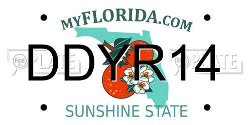 DDYR14 Florida License Plate